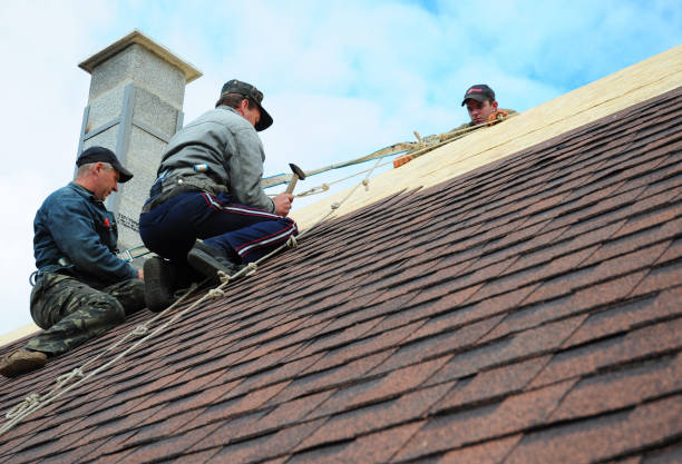 Roof Waterproofing Services in St Paul, NE
