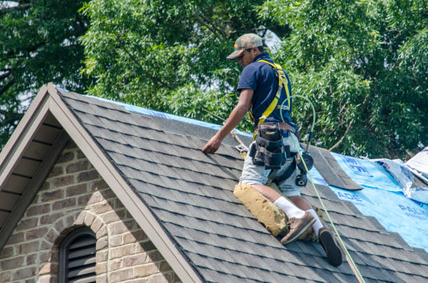 Roof Gutter Cleaning in St Paul, NE